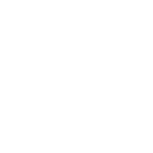 _icon